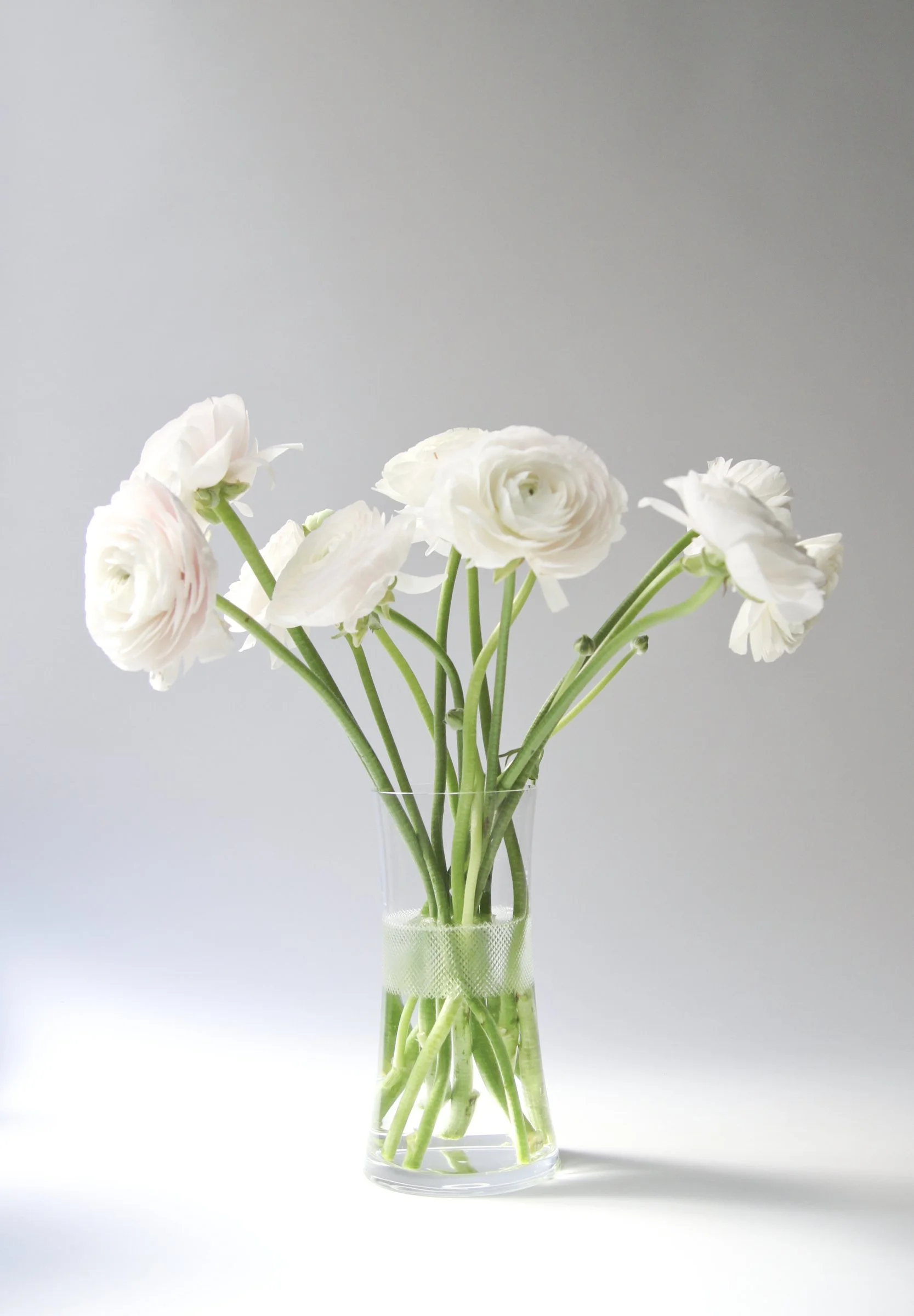 Nymphenburg Porcelain Rococo Candlesticks — Ted Muehling